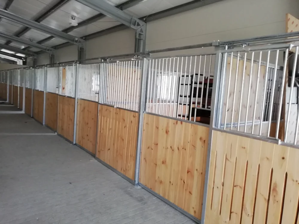 STANDARDBRED_52 STANDARDBRED_52