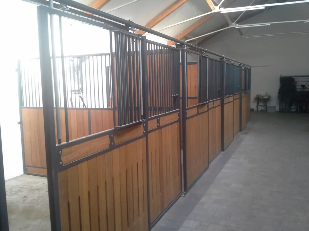 STANDARDBRED_6 STANDARDBRED_6