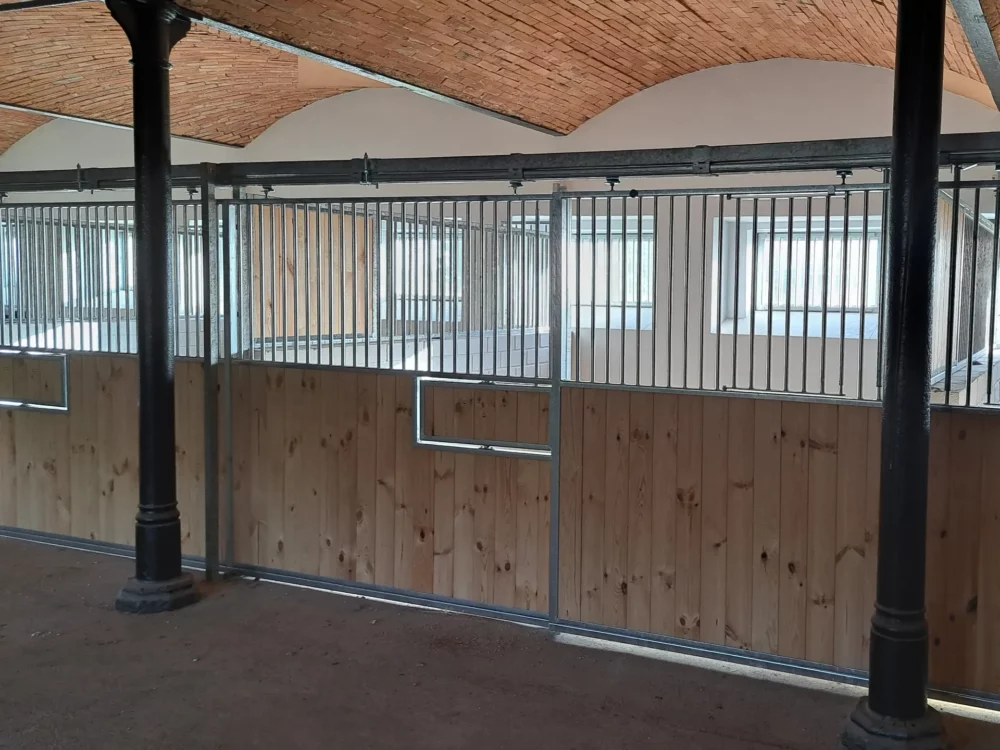 STANDARDBRED_9 STANDARDBRED_9