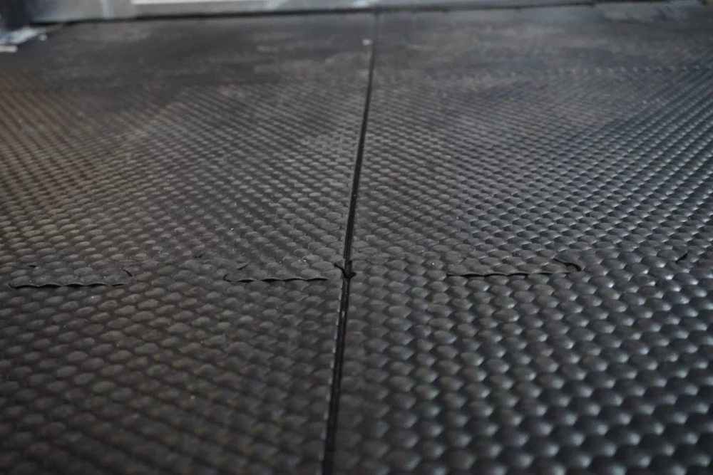 mata gumowa mata gumowa