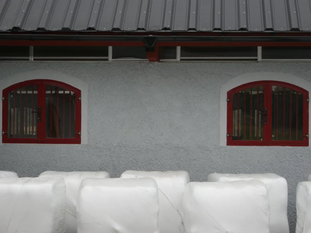 OS20_szprosy_9 OS20_szprosy_9